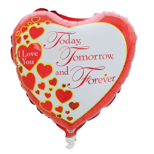 ���߸˸¤ꢣBLT18"���ѡ����꡼�ȥ��ǥ����ȥ���������ե������С���BLT86398