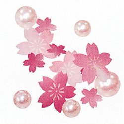 ��������(������&�ѡ���)��CKP10051  5����