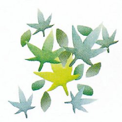 �狼�Х��(����)��CKP10055  5����