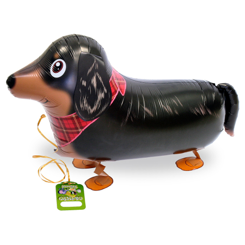 ������Х롼�󡡥ߥ˥��奢���å�����SAG08835