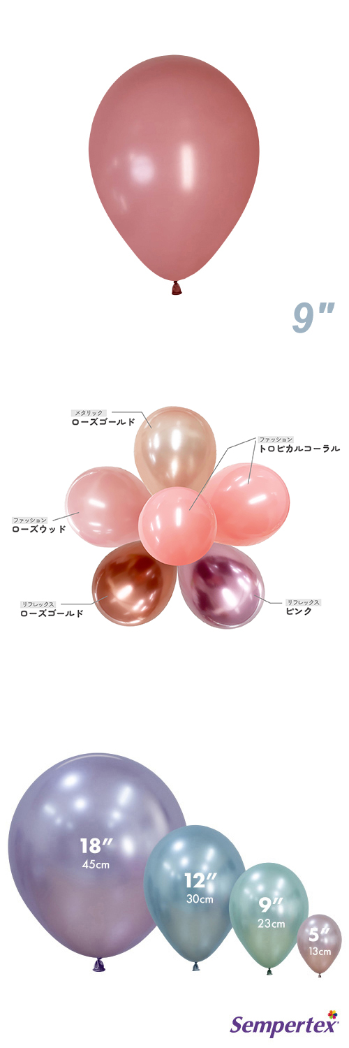 SM9����� �ե��å���� ���������å� SEM13529