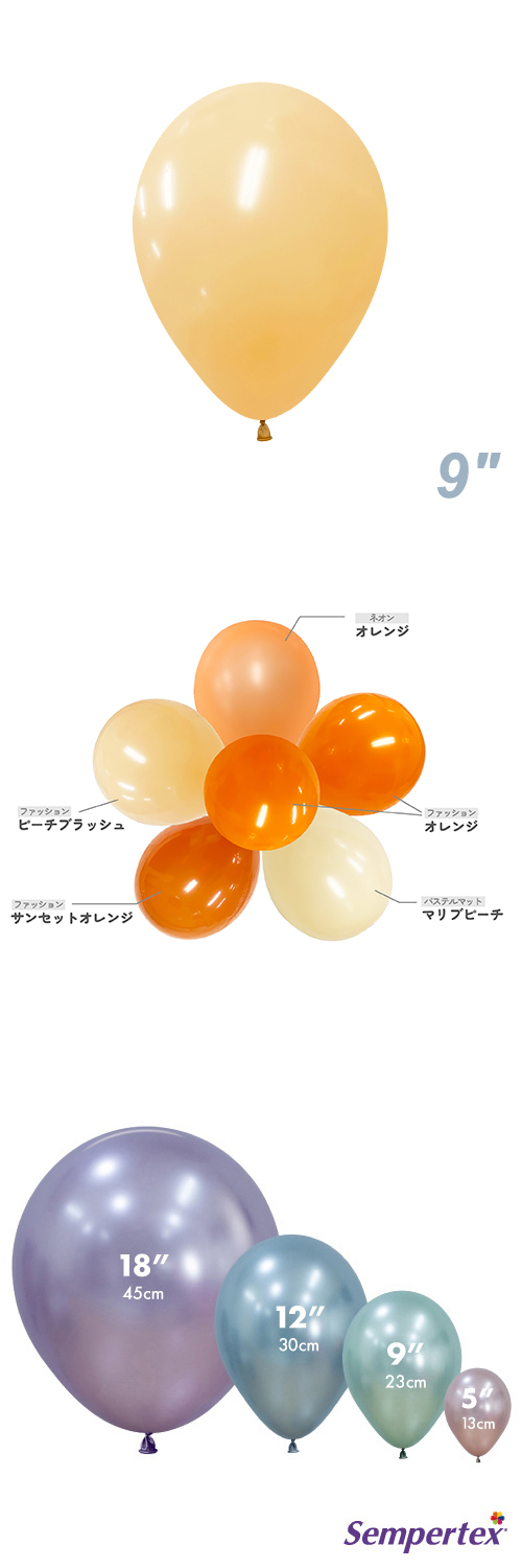 SM9����� �ե��å���� �ԡ����֥�å��� SEM22087