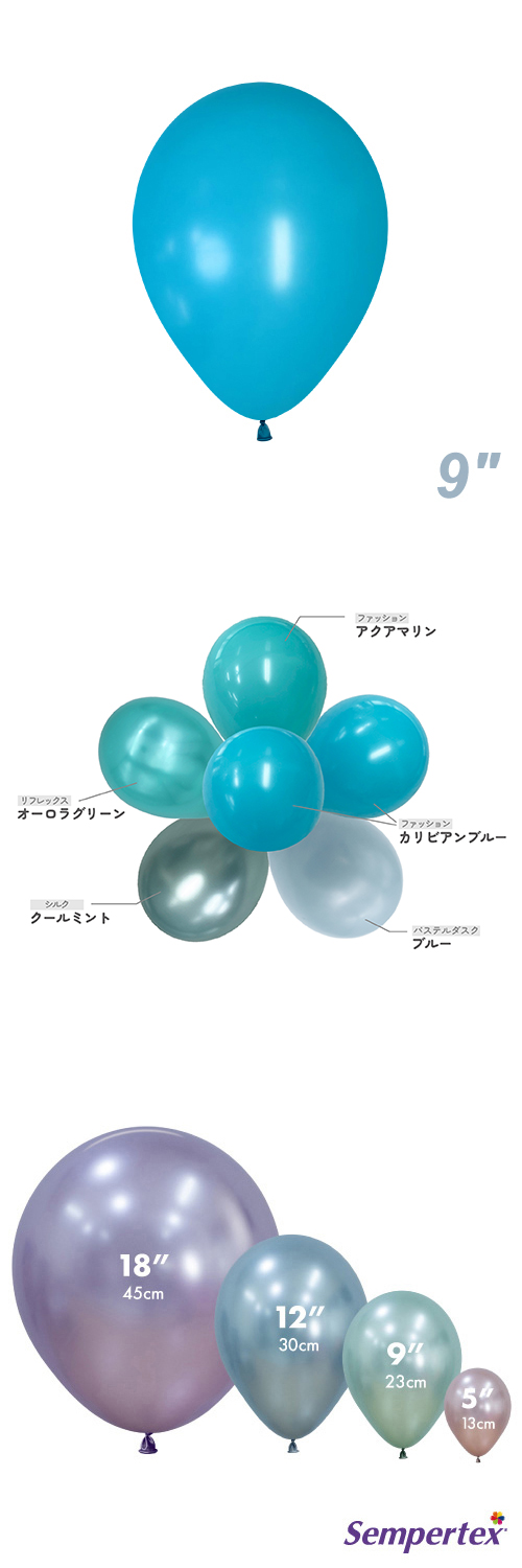 SM9����� �ե��å���� ����ӥ���֥롼 SEM22095