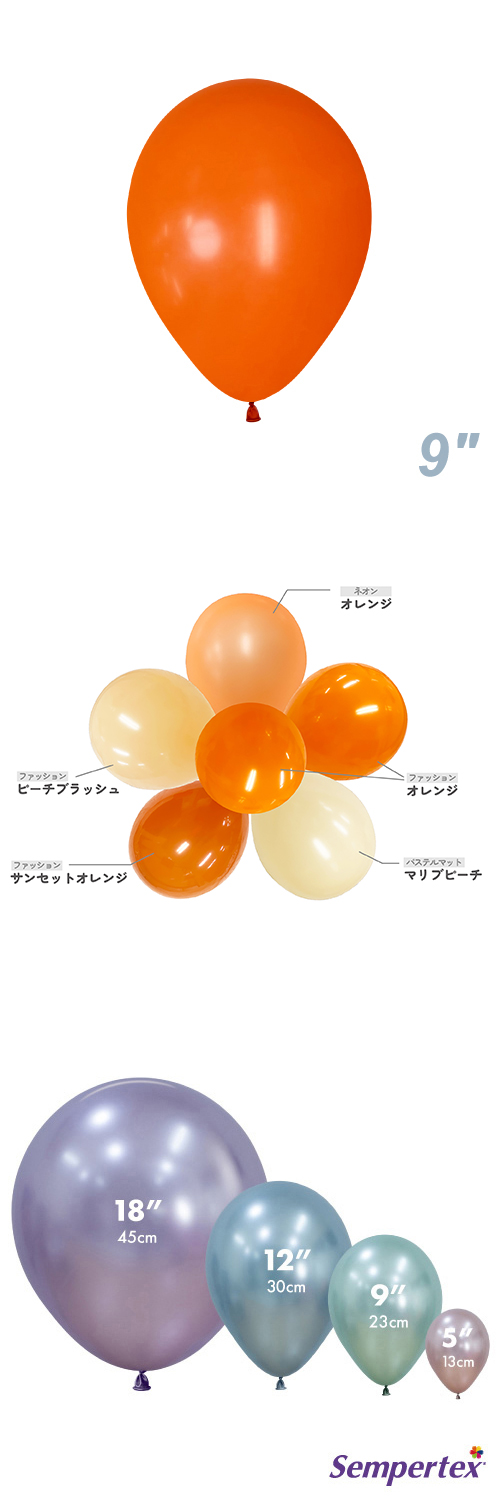 SM9����� �ե��å���� ����� SEM22137