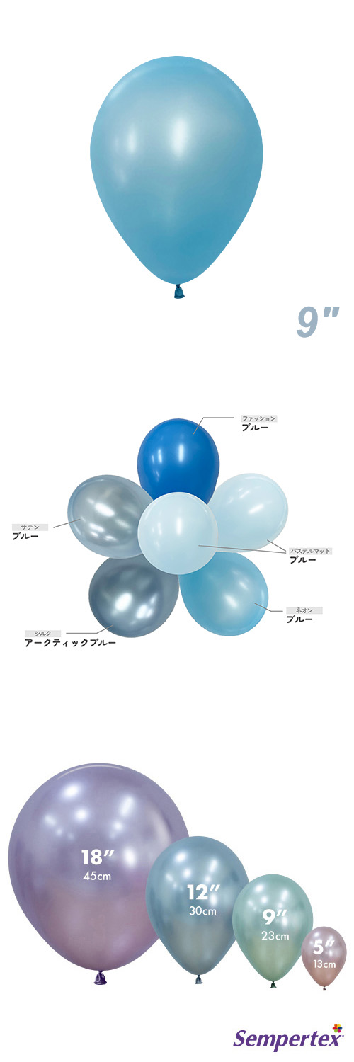 SM9����� �ͥ��� �֥롼 SEM22547