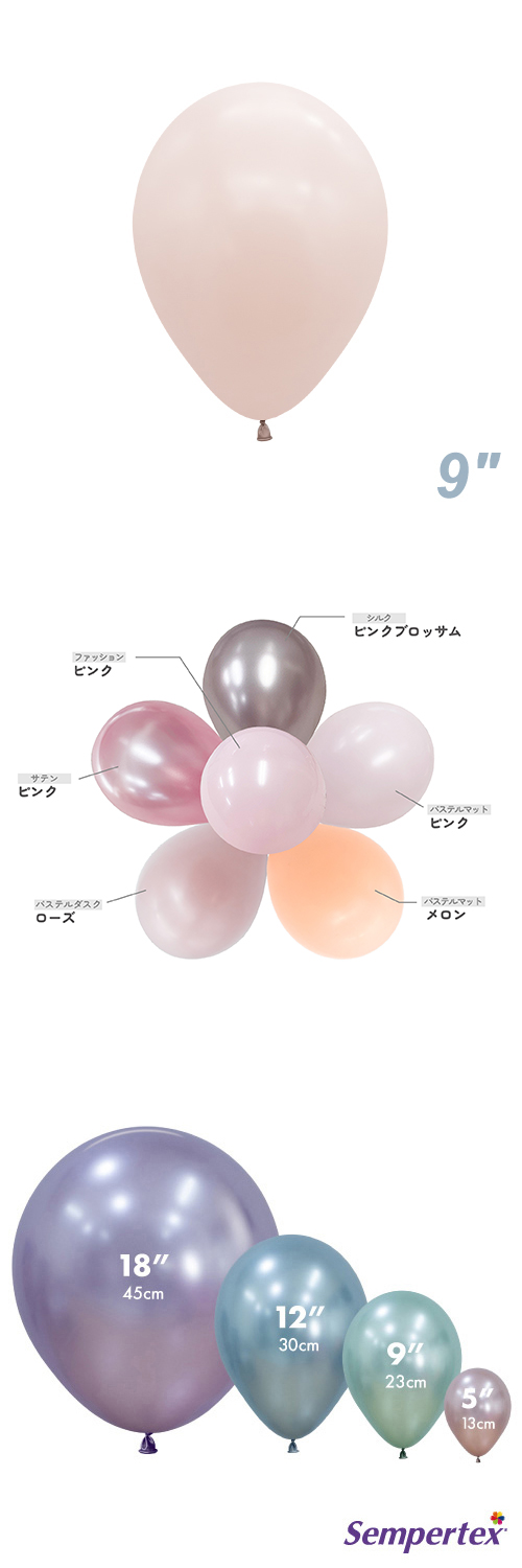 SM9����� �ѥ��ƥ������ ������ SEM39668