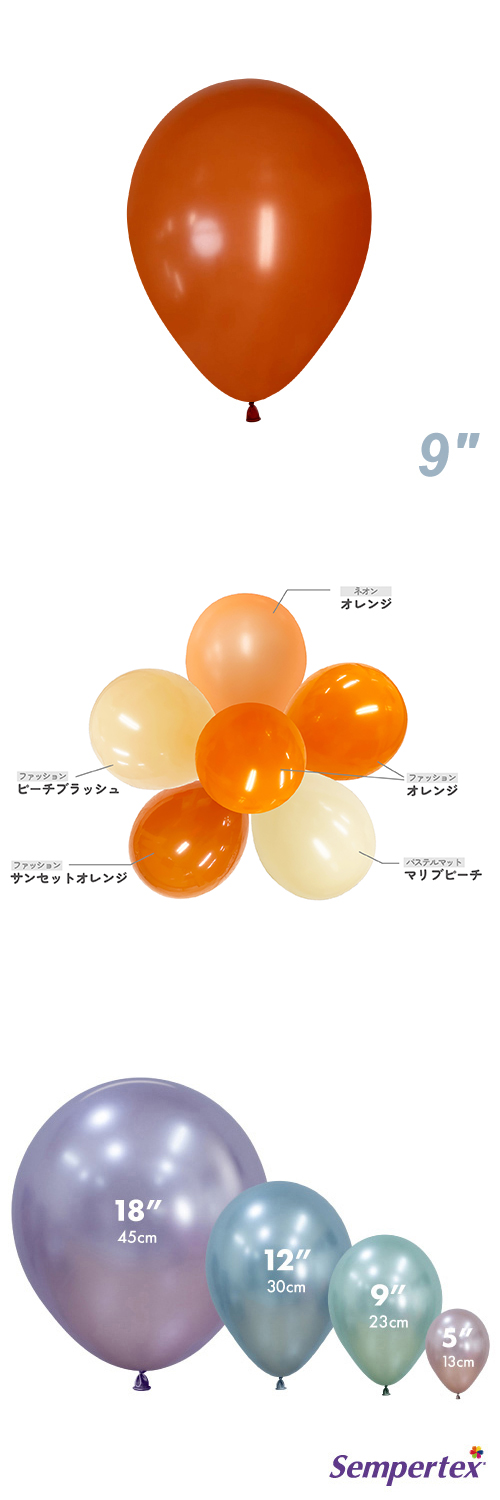 SM9����� �ե��å���� ���󥻥åȥ���� SEM40442