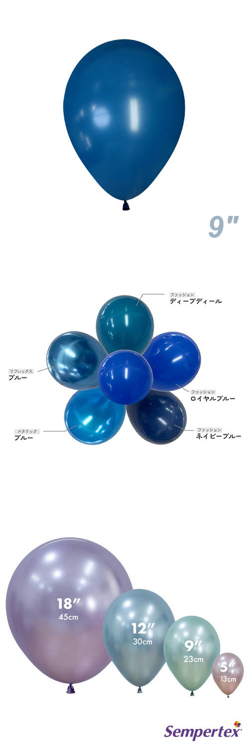 SM9����� �ե��å���� �ǥ����ץƥ����� SEM40461