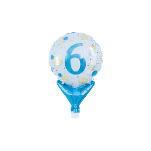 ���åץ饤�ȥХ롼�󥴡���ɡ��֥롼�ɥå�NO.6 TKR02167