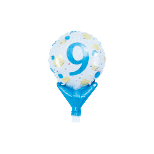 ���åץ饤�ȥХ롼�󥴡���ɡ��֥롼�ɥå�NO.9 TKR02170