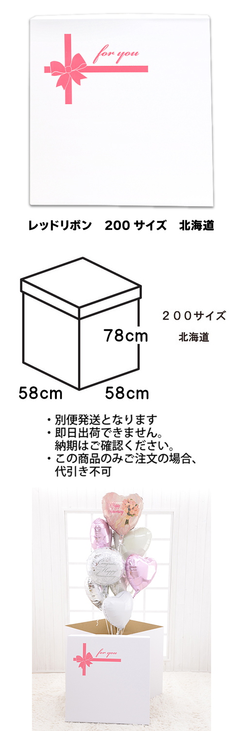 ���ե����ۥ磻�ȥܥå�������åɥ�ܥ�200�������̳�ƻ��TND023801