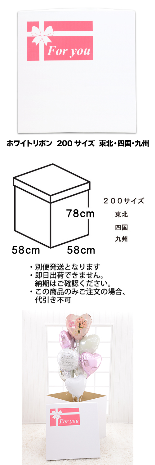 ���ե����ۥ磻�ȥܥå������ۥ磻�ȥ�ܥ�200���������̡��͹񡦶彣�����참�����Ӥ����̤���������TND023842