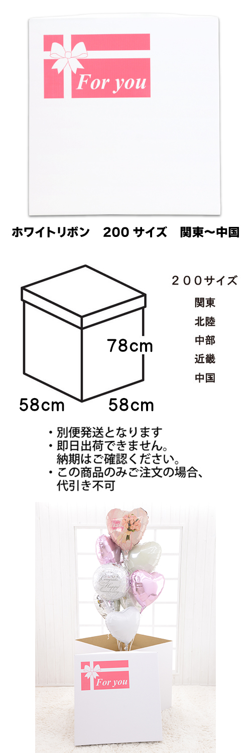 ���ե����ۥ磻�ȥܥå������ۥ磻�ȥ�ܥ�200��������������TND023843