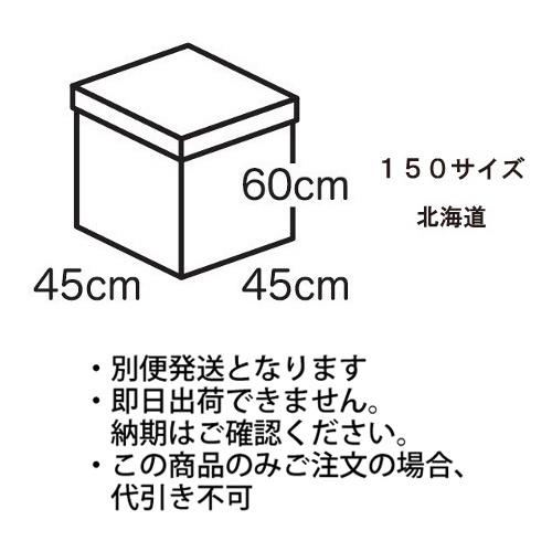 �������䢣�ե����ۥ磻�ȥܥå�������������150�������ˡ��̳�ƻ��TNK224101��10��