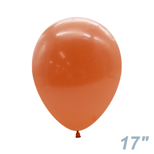 TUF17�����(43cm) �ѥ��ƥ� �С���ȥ���� TUF17035