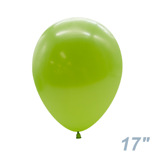 TUF17�����(43cm) �ѥ��ƥ� �ե����� TUF17081