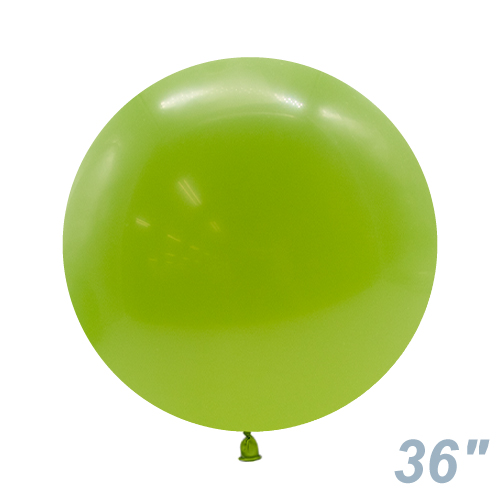 TUF36�����(91cm) �ѥ��ƥ� �ե����� TUF36081