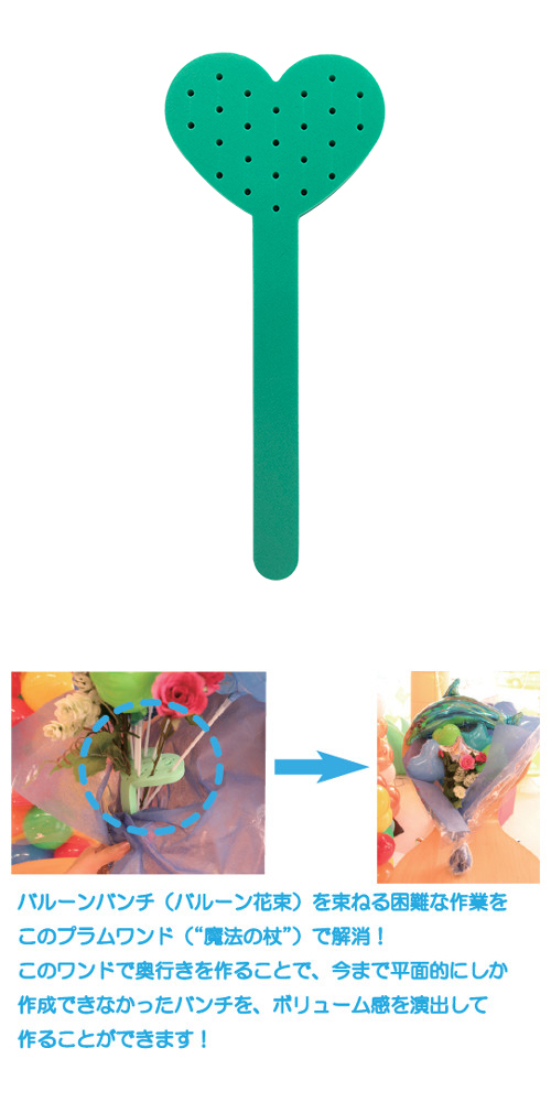 �ץ�����S�����꡼��AIS22491