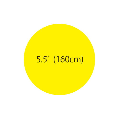 5.5'�����ܥХ롼�󡡥���������TTK53682