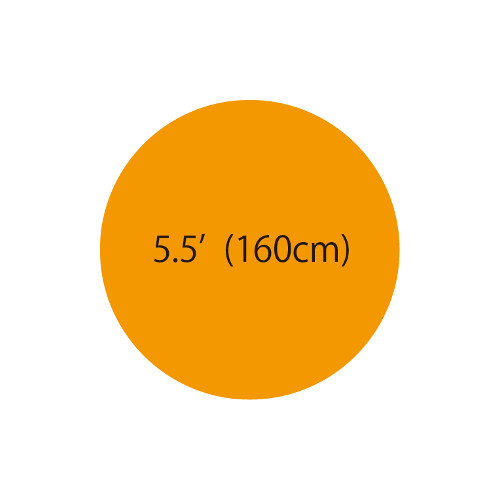 5.5'�����ܥХ롼�󡡥���󥸡�TTK53382