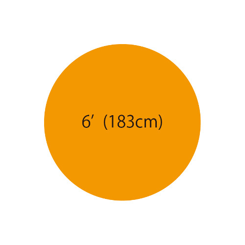 6'�����ܥХ롼�󡡥���󥸡�TTK53483