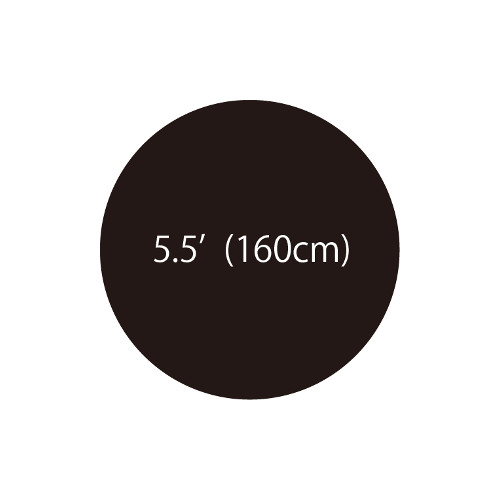 5.5'�����ܥХ롼�󡡥֥�å���TTK58182