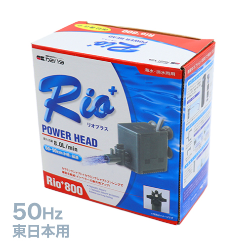 ������ή�ݥ��Rio800(50Hz)�����϶��� ELSNS94012