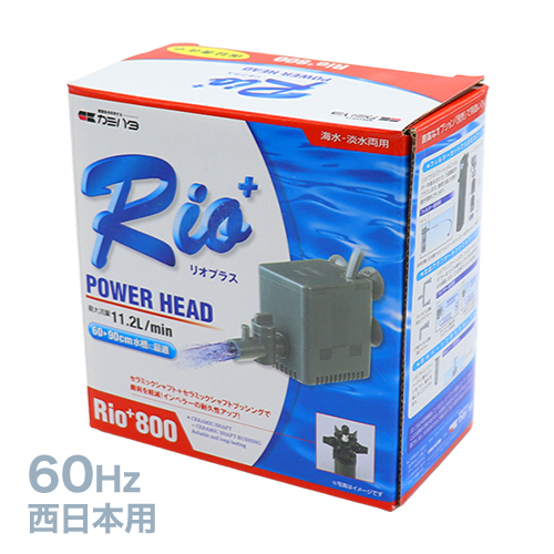 ������ή�ݥ��Rio800(60Hz)�����϶��� ELSNS94013