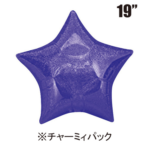 �������䢣���㡼�ߥ��ѥå�19"�������顼���������ѡ��ץ롡13609-P