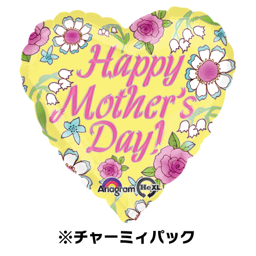 �����䢣���㡼�ߥ��ѥå�17" �ȣͣĥ���������30242-P