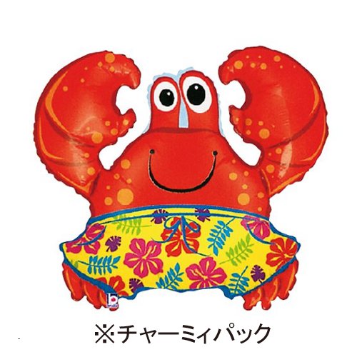 �����䢣���㡼�ߥ��ѥå�36"���ӡ�������֡�85529-P��B5Q��