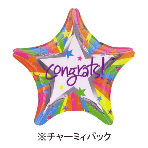 ���㡼�ߥ��ѥå�19"���쥤��ܡ����󥰥�åġ�9896-P