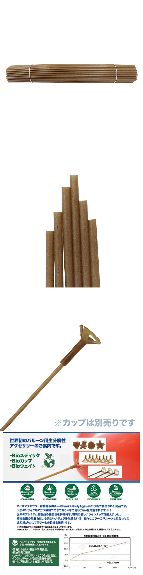 Bio 30cmޥƥå  ACC40083