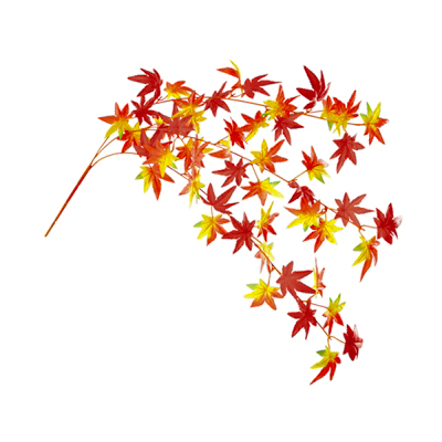 �������䢣����ߤ����ܥ��������졡ALFEV47594