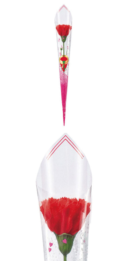 ͡󤫤ߥåסʣˡALFKD31434