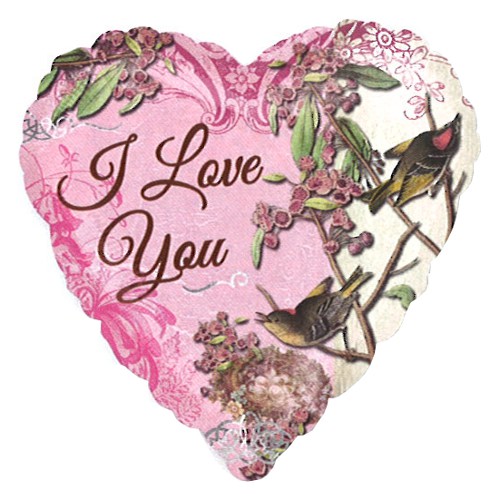 �����䢣AG18"���ܥ��˥����֡�ANG23256 ��B4W-2��