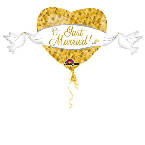 ��LS��AG L-SHP���㥹�� �ޥ�å� �ϡ��� ����� ���֥�ANG30859