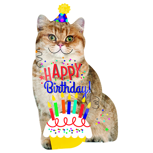 䢣AGLSHPϥåԡСǡåȡANG35394