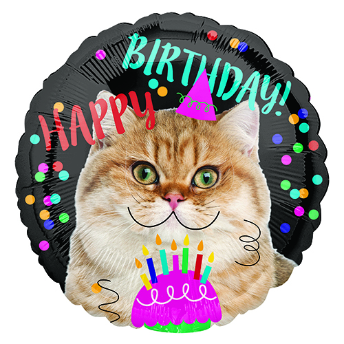 �����䢣AG17"���ϥåԡ��С����ǡ�����åȡ�ANG35398