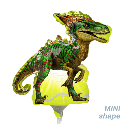 �����䢣AG �Ў�SHP ����饷�å����� ��ץ��� ANG36339