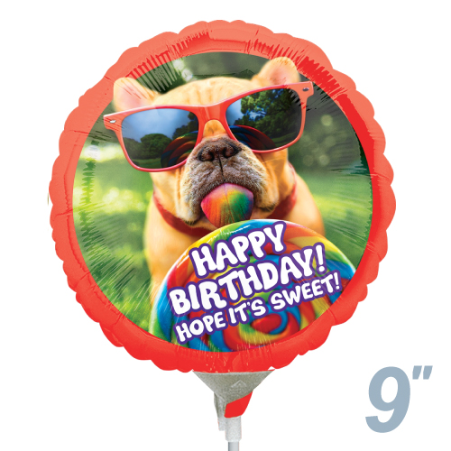 ߸˸¤ꢣAG9"ХƥȥСǡANG36531