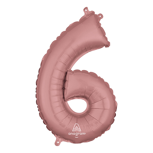 AG16ʥС ɿ 6  ANG37491