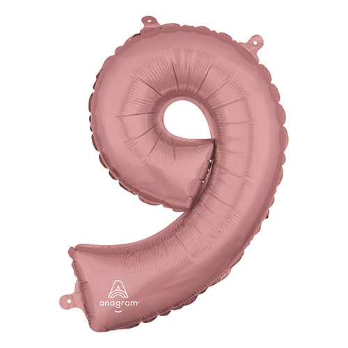 AG16ʥС ɿ 9  ANG37494