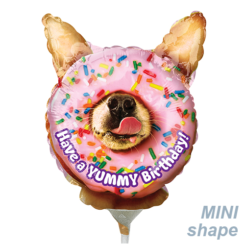 ߸˸¤ꢣAGߥSHPХƥߡСǡANG37502