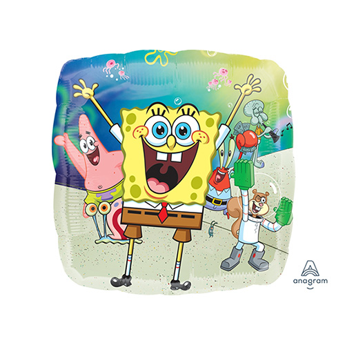 AG 18SHP ݥ󥸥ܥ ANG41538