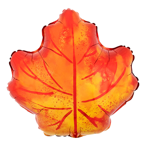 䢣AG 18SHP եᥤץ꡼ ANG41996