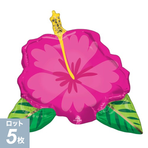 AGL-SHP ӥ塼ƥեȥԥϥӥ ANG42671