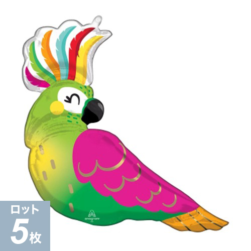 AGL-SHP ȥԥѥå ANG42673