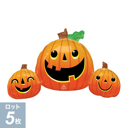 AG L-SHP ޥ꡼ѥץȥꥪ ANG43160