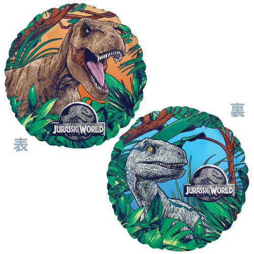 AG 17 饷å ANG44254